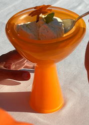 Solenne Dish