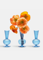 Simone Bud Vase (Set of 3)