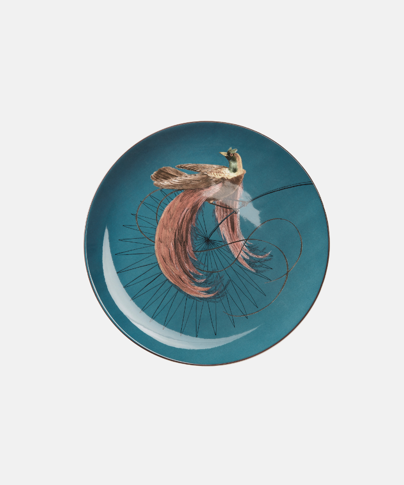 36_d33be0be-9a48-4c80-b2ed-2ed78e2b114f.png